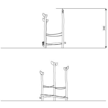 Preview: ROBINIA RB1229